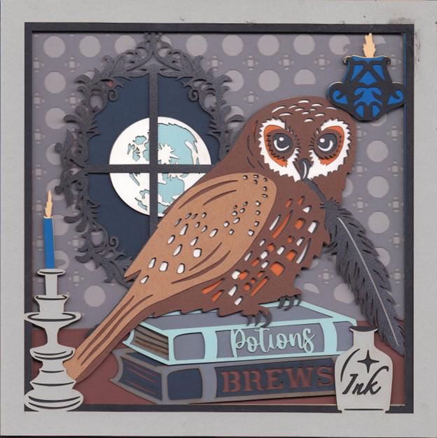 Harry Potter Owl 3D Layered Framed Picture